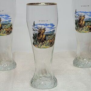 Vintage German Volksmarch Glass Beer Mug with Gold Rim - WF Schonau 1991- 1glass